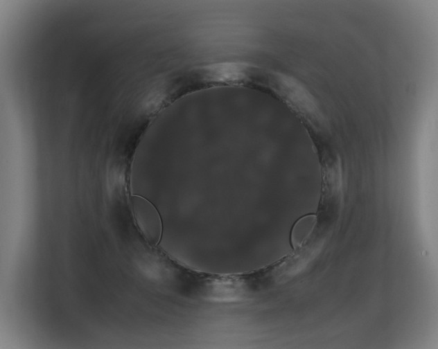 X0000108480415200904031433