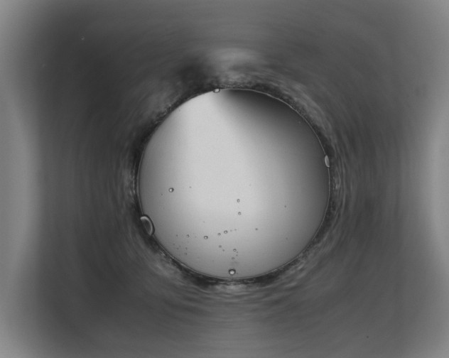 X0000108480419200904031433