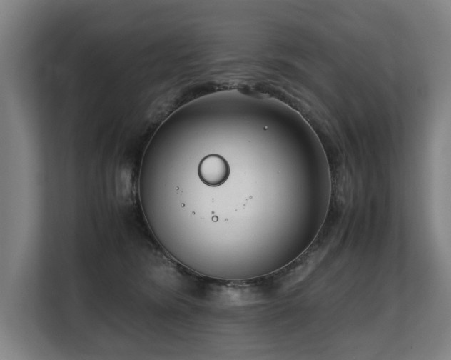 X0000108480420200904031433