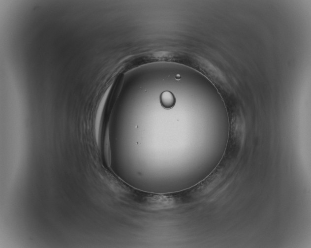 X0000108480421200904031433