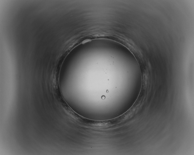 X0000108480422200904031433