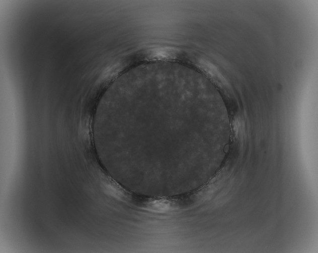 X0000108480423200904031433