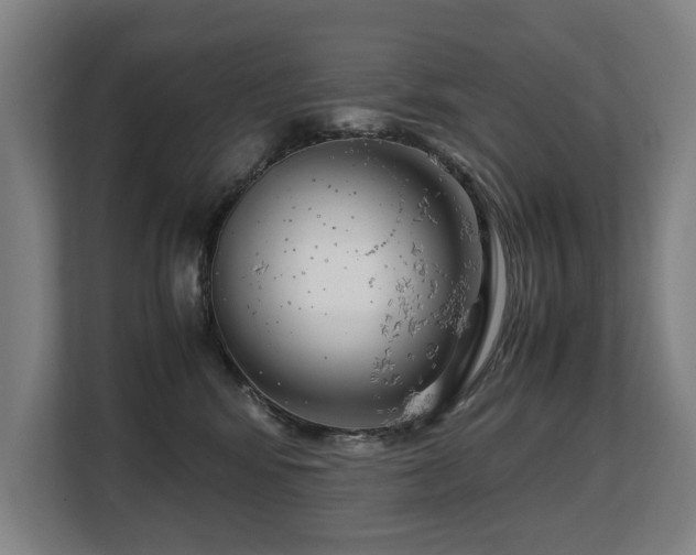 X0000108480424200904031433