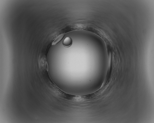 X0000108480425200904031433