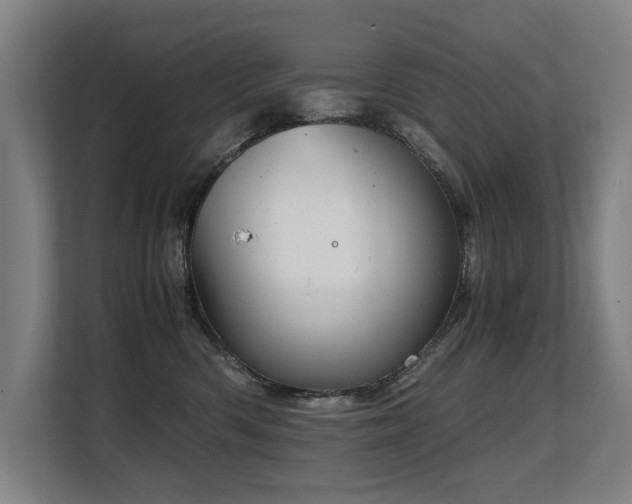 X0000108480426200904031433