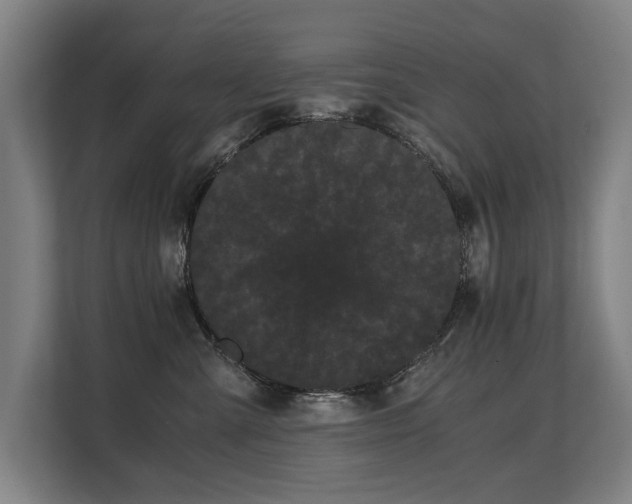 X0000108480427200904031433