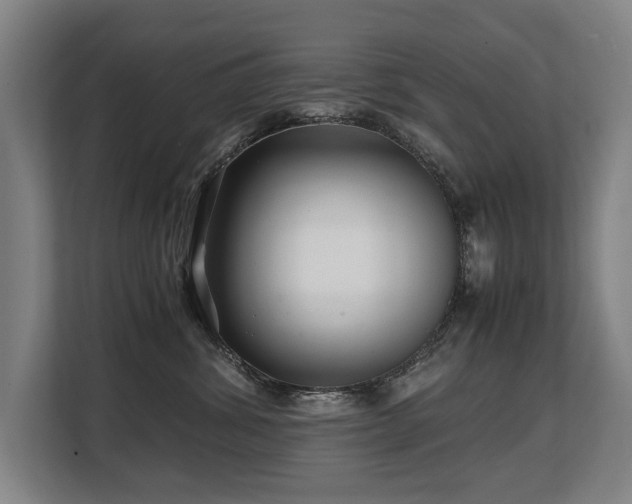 X0000108480428200904031433