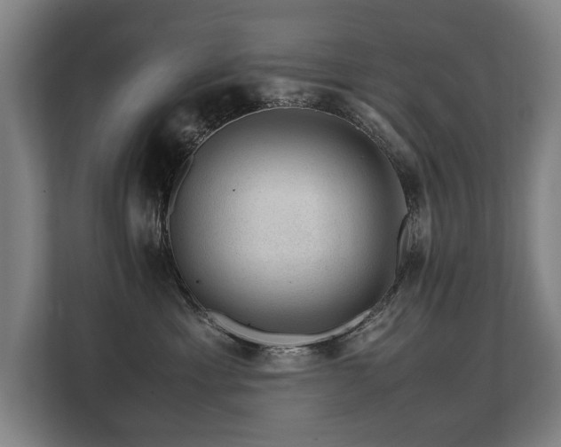 X0000108480429200904031433