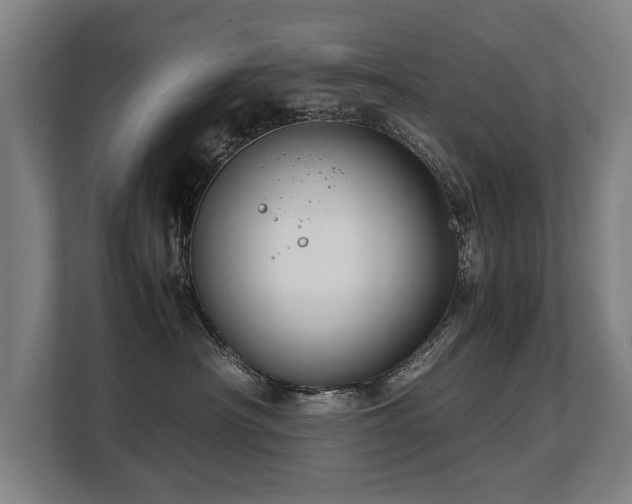 X0000108480430200904031433