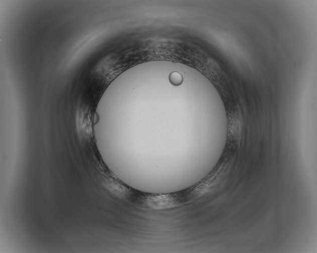 X0000108480431200904031433