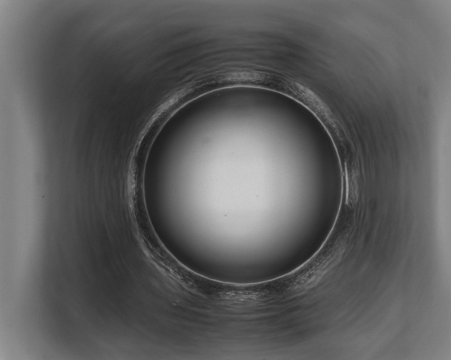 X0000108480435200904031433
