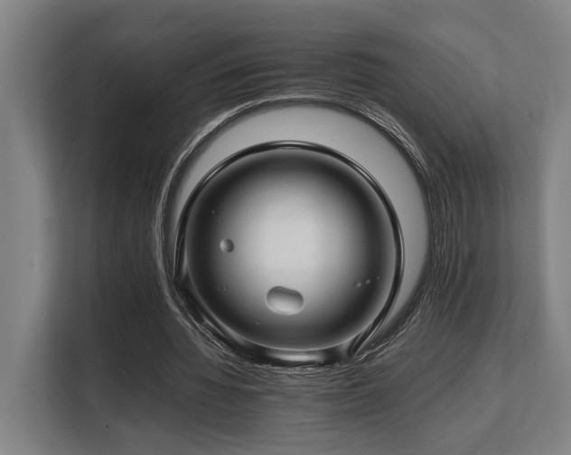 X0000108480436200904031433