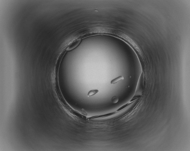 X0000108480437200904031433