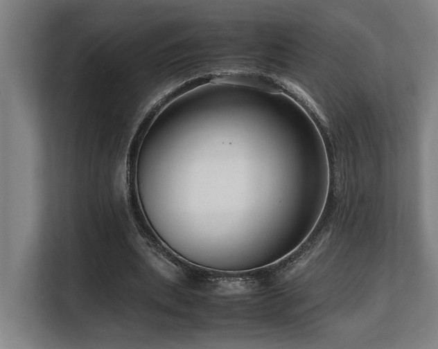 X0000108480439200904031433