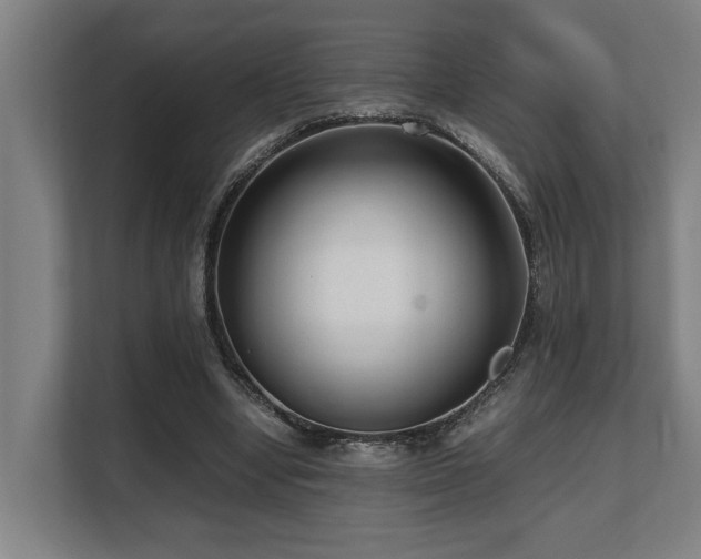 X0000108480442200904031433