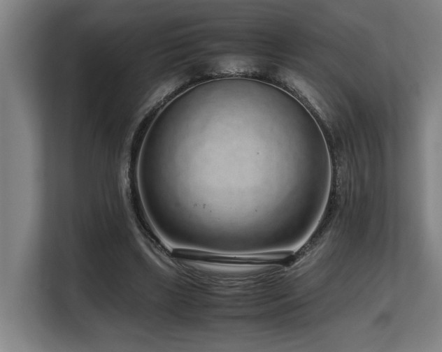 X0000108480443200904031433