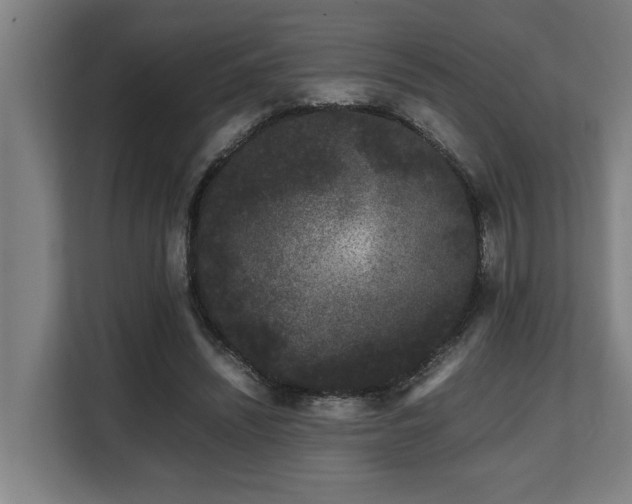 X0000108480444200904031433