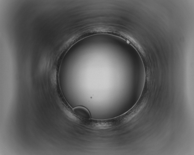 X0000108480445200904031433