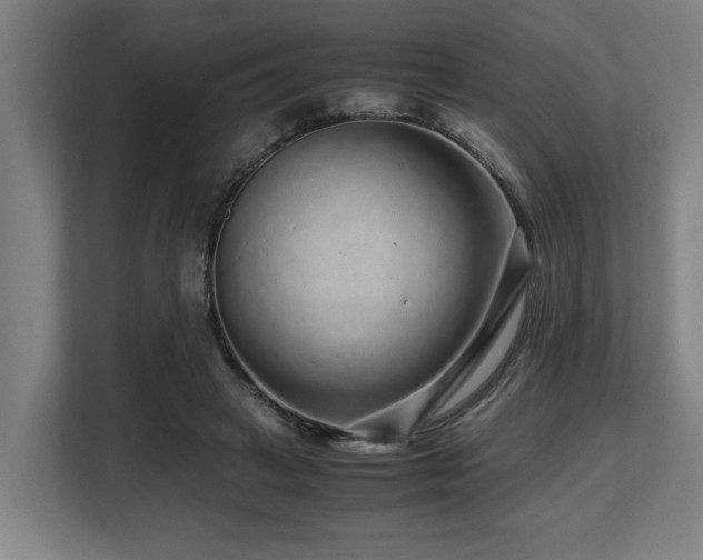 X0000108480449200904031433