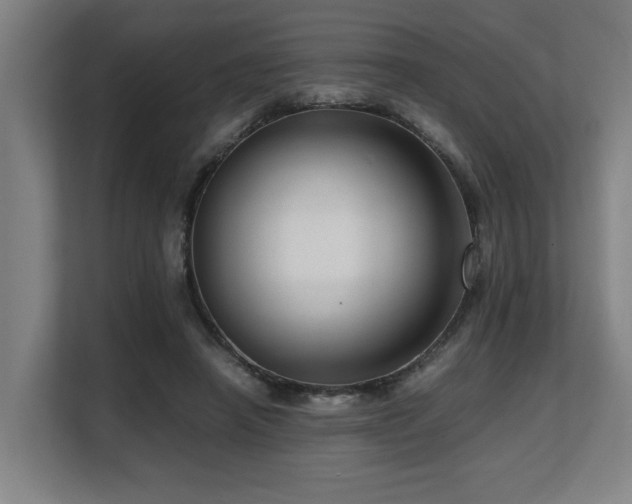 X0000108480450200904031433