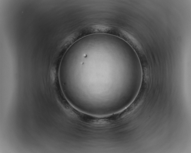 X0000108480451200904031433