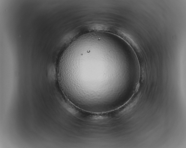 X0000108480453200904031433