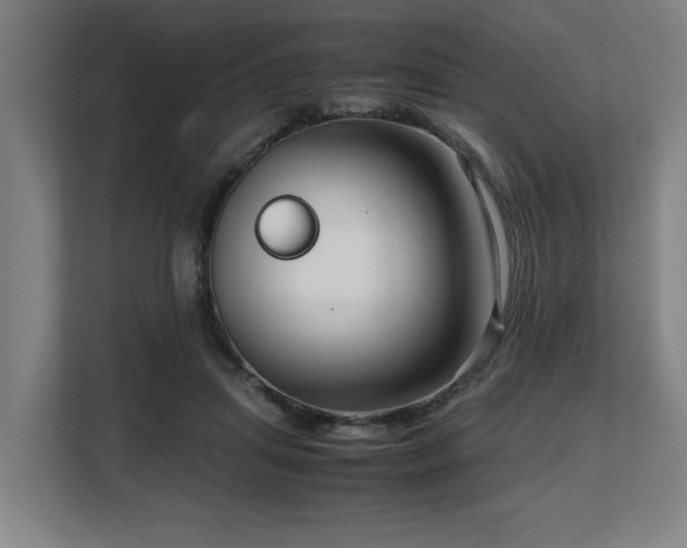 X0000108480455200904031433