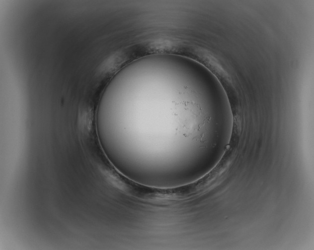 X0000108480458200904031433