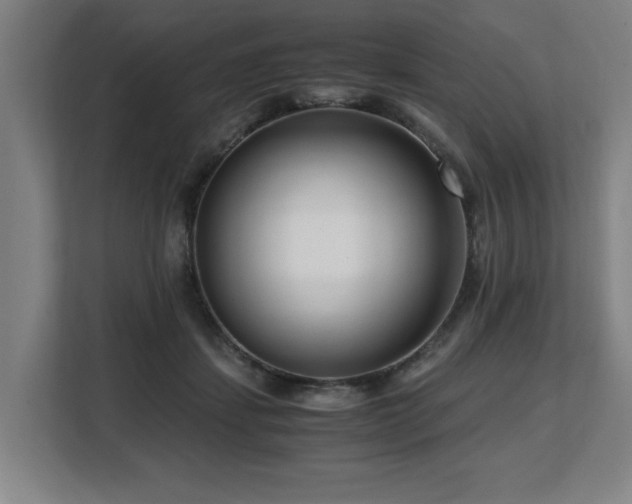 X0000108480459200904031433