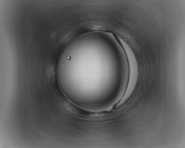 X0000108480461200904031433
