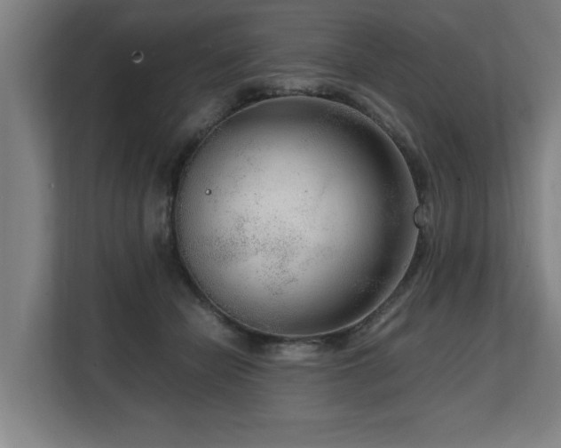 X0000108480462200904031433