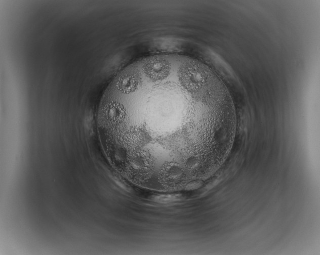 X0000108480465200904031433