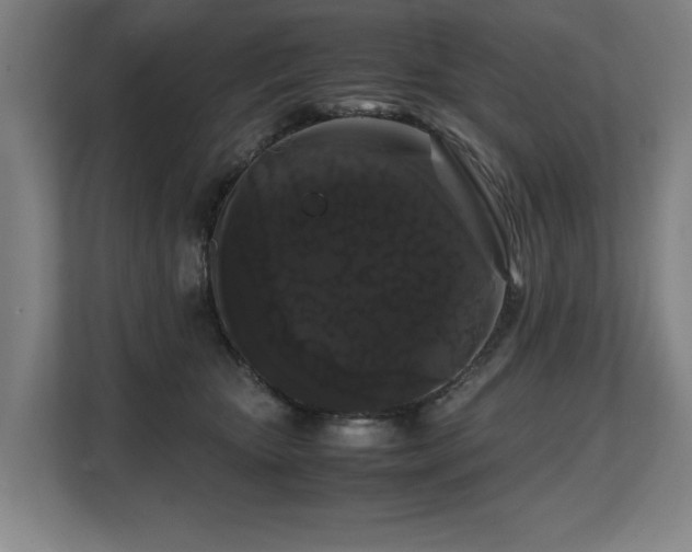 X0000108480467200904031433