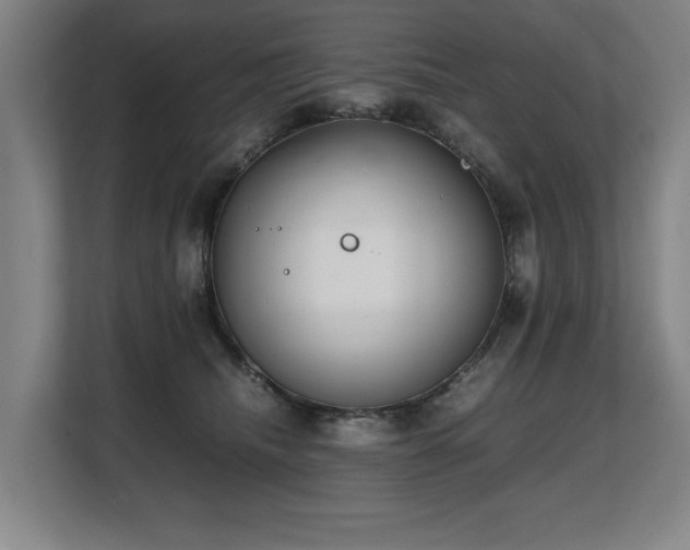 X0000108480468200904031433
