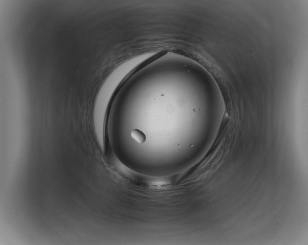 X0000108480469200904031433