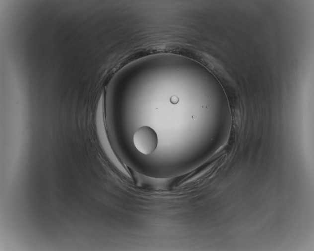 X0000108480470200904031433