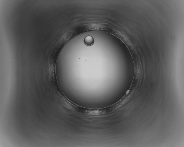 X0000108480473200904031433