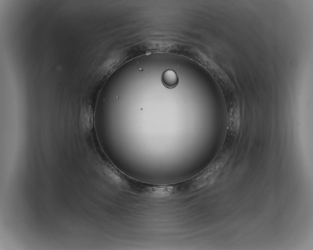 X0000108480474200904031433