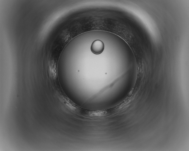 X0000108480479200904031433