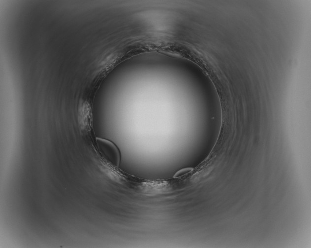 X0000108480480200904031433