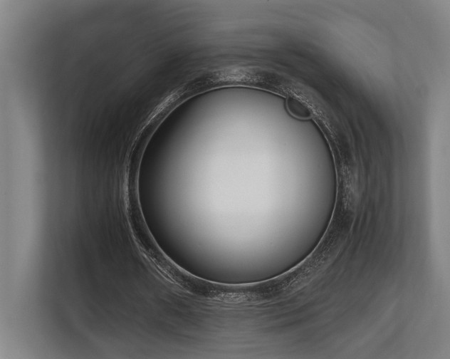 X0000108480482200904031433