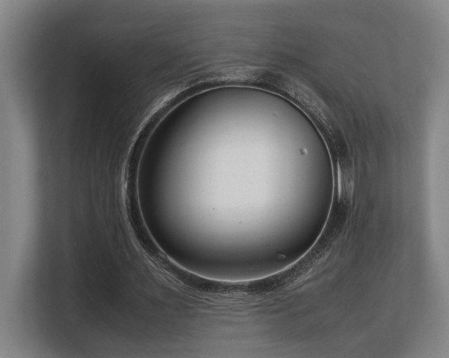 X0000108480483200904031433