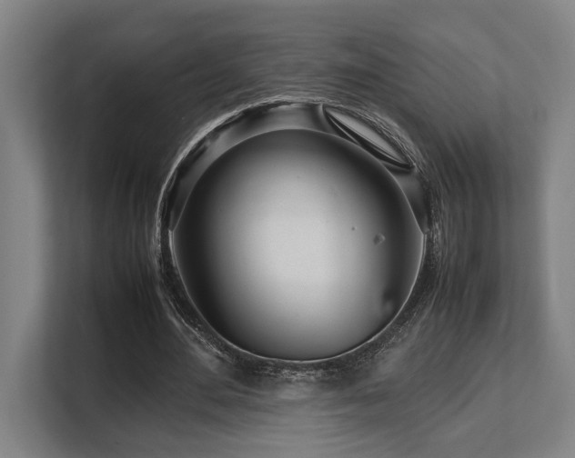 X0000108480484200904031433