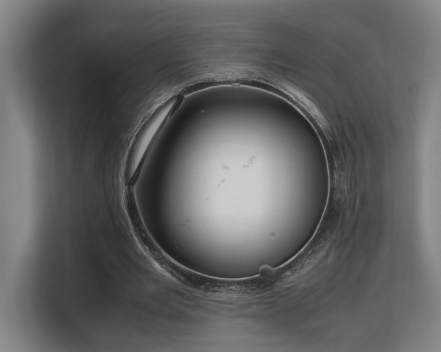 X0000108480485200904031433