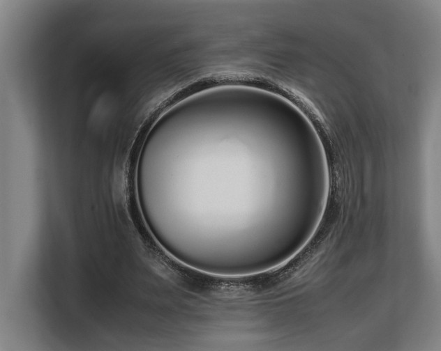X0000108480487200904031433