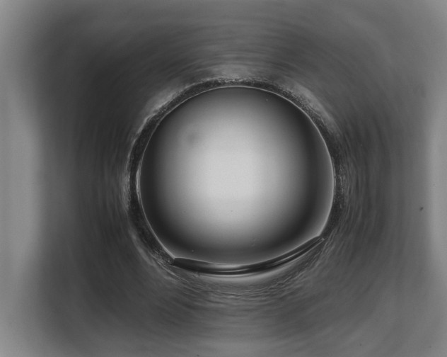 X0000108480488200904031433