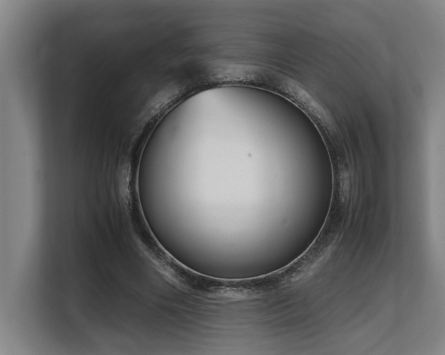 X0000108480490200904031433
