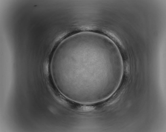 X0000108480491200904031432