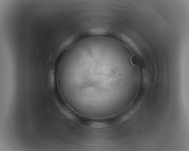X0000108480494200904031432