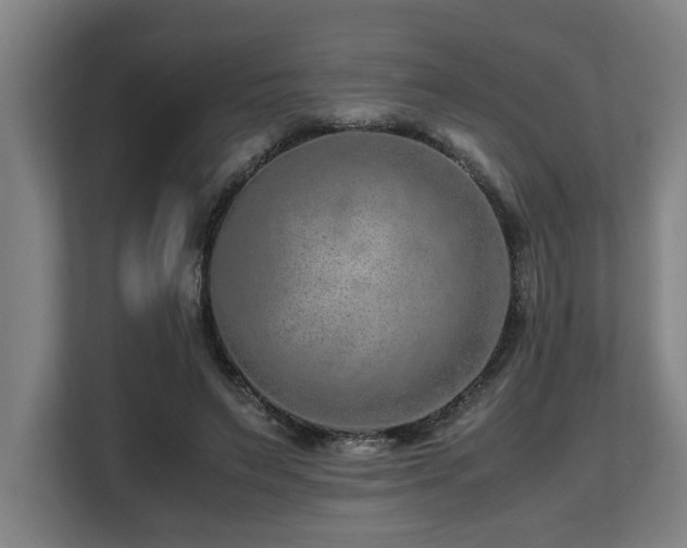 X0000108480495200904031432